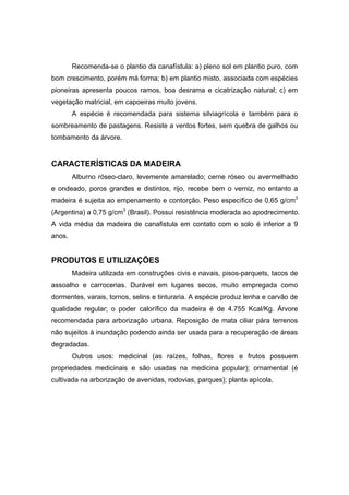 79
Recomenda-se o plantio da canafístula: a) pleno sol em plantio puro, com
bom crescimento, porém má forma; b) em plantio misto, associada com espécies
pioneiras apresenta poucos ramos, boa desrama e cicatrização natural; c) em
vegetação matricial, em capoeiras muito jovens.
A espécie é recomendada para sistema silviagrícola e também para o
sombreamento de pastagens. Resiste a ventos fortes, sem quebra de galhos ou
tombamento da árvore.
CARACTERÍSTICAS DA MADEIRA
Alburno róseo-claro, levemente amarelado; cerne róseo ou avermelhado
e ondeado, poros grandes e distintos, rijo, recebe bem o verniz, no entanto a
madeira é sujeita ao empenamento e contorção. Peso específico de 0,65 g/cm3
(Argentina) a 0,75 g/cm3
(Brasil). Possui resistência moderada ao apodrecimento.
A vida média da madeira de canafistula em contato com o solo é inferior a 9
anos.
PRODUTOS E UTILIZAÇÕES
Madeira utilizada em construções civis e navais, pisos-parquets, tacos de
assoalho e carrocerias. Durável em lugares secos, muito empregada como
dormentes, varais, tornos, selins e tinturaria. A espécie produz lenha e carvão de
qualidade regular; o poder calorífico da madeira é de 4.755 Kcal/Kg. Árvore
recomendada para arborização urbana. Reposição de mata ciliar pára terrenos
não sujeitos à inundação podendo ainda ser usada para a recuperação de áreas
degradadas.
Outros usos: medicinal (as raízes, folhas, flores e frutos possuem
propriedades medicinais e são usadas na medicina popular); ornamental (é
cultivada na arborização de avenidas, rodovias, parques); planta apícola.
 