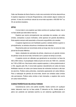 83
Falta nas florestas da Serra Geral ou muito rara ocorrendo de forma descontínua.
A espécie reaparece no Escudo Riograndense, onde existem alguns núcleos de
pinhais. A área de ocorrência natural da erva-mate equivale a 450.000 Km2
ou
5% do território brasileiro.
SÍTIO
A erva-mate é uma espécie que tolera sombra em qualquer idade, mas é
na fase adulta que esta tolera mais luz.
Espécie que ocorre principalmente nas submatas de canelas, em solos
úmidos, compactos e pouco inclinados, onde aparece em grande abundância.
Esta espécie sempre está associada a Araucaria angustifolia e às canelas.
A espécie regenera-se com facilidade quando o estrato arbóreo superior e
principalmente, os estratos arbustivos e herbáceos são raleados
Raramente pode ser encontrada ainda ao longo dos rios na zona da mata
pluvial da Encosta Atlântica.
Após o desbaste de submatas de pinhais, observa-se um grande número
de plantas novas de erva-mate, formando com o passar do tempo os ervais.
A espécie ocorre em altitudes que geralmente se encontram na faixa de
400 a 800 metros. A precipitação média anual é em torno de 1500 mm, variando
de 1100 a 2300 mm. Nos locais onde a espécie aparece, o clima predominante é
o Cfb, seguido pelo Cfa. A erva-mate aparece naturalmente em solos de baixa
fertilidade natural, em solos com baixos teores de nutrientes trocáveis e alto teor
de alumínio. Prefere solos profundos, raramente aparecendo em solos litólicos.
Para a realização de plantios de erva-mate, devem ser evitados solos úmidos
não permeáveis. Prefere solos úmidos e bem drenados, a espécie não ocorre
em solos hidromórficos.
CARACTERÍSTICAS SILVICULTURAIS
Caracteriza-se como uma planta esciófila. Aceita sombra em qualquer
idade, tolerando mais luz na fase adulta. É tolerante ao frio. Aceita plantio a
pleno sol, podendo ser plantada sozinha ou em sistemas agroflorestais com
 