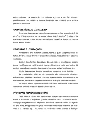 84
outras culturas. A associação com culturas agrícolas é um fato comum,
principalmente com mandioca, milho e feijão nos três primeiros anos após o
plantio da erva-mate.
CARACTERÍSTICAS DA MADEIRA
A madeira da erva-mate, possui uma massa específica aparente de 0,60
g/cm3
a 15% de umidade e a densidade básica é de 0,50 g/cm3
. O alburno da
madeira é branco e possui estrias características. Superfície lisa ao tato e com
lustro, textura fina etc.
PRODUTOS E UTILIZAÇÕES
A madeira da erva-mate tem uso secundário, já que o uso principal são as
folhas. Porém, produz lâmina de excelente qualidade. Produz lenha de péssima
qualidade.
Existem duas famílias de produtos da erva-mate: a) produtos que exigem
pouca modificação da matéria-prima natural: chimarrão e mate queimado e b)
produts baseados em extratos da meteria-prima: mate solúvel e refrigerantes.
A folha da erva-mate é usada na medicina popular na forma de chás.
As propriedades principais da erva-mate são: estimulante, diurético,
estomáquico, sudorífico. A cafeína que esta espécie contém atua em casos de
cólicas renais, neurastenia, depressões nervosas e fadigas cerebrais em geral.
Em função de sua importância social e folclórica a erva-mate foi escolhida
com árvore símbolo do estado do Rio Grande do Sul.
PRINCIPAIS PRAGAS E DOENÇAS
Cinco insetos podem ser considerados pragas que realmente causam
danos a erva-mate: Ceroplastes grandis conhecido como cochonilha-de-cera,
Gyropsyla spegazziniana ou ampola da erva-mate, Thelosia camina ou lagarta-
da-erva-mate, Hedypathes betulynus conhecido como broca do tronco da erva-
mate e a Hylesia sp. As plantas da erva-mate estão sujeitas a doenças
 