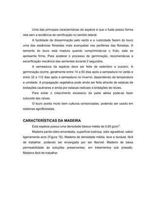 88
Uma das principais características da espécie é que o fuste possui forma
reta sem a tendência de ramificação no sentido lateral.
A facilidade de disseminação pelo vento e a rusticidade fazem do louro
uma das essências florestais mais avançadas nas periferias das florestas. A
semente do louro está madura quando comprimindo-se o fruto, este se
apresenta firme. Para acelerar o processo de germinação, recomenda-se a
escarificação mecânica das sementes durante 2 segundos.
A semeadura da espécie deve ser feita de setembro a outubro. A
germinação ocorre, geralmente entre 14 a 60 dias após a semeadura no verão e
entre 32 a 112 dias após a semeadura no inverno, dependendo da temperatura
e umidade. A propagação vegetativa pode ainda ser feita através de estacas de
brotações caulinares e ainda por estacas radiciais e brotações de raízes.
Para evitar o crescimento excessivo da parte aérea pode-se fazer
subcorte das raízes.
O louro aceita muito bem culturas consorciadas, podendo ser usado em
sistemas agroflorestais.
CARACTERÍSTICAS DA MADEIRA
Esta espécie possui uma densidade básica média de 0,65 g/cm3
.
Madeira pardo-claro-amarelada, superfície lustrosa, odor agradável, sabor
ligeiramente acre (Figura 16). Madeira de densidade média, leve e durável, fácil
de trabalhar, podendo ser envergada por ser flexível. Madeira de baixa
permeabilidade às soluções preservantes, em tratamentos sob pressão.
Madeira fácil de trabalhar.
 