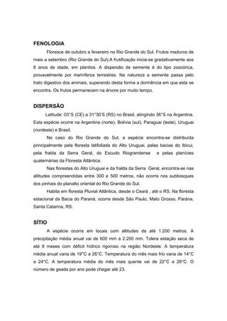 91
FENOLOGIA
Floresce de outubro a fevereiro no Rio Grande do Sul. Frutos maduros de
maio a setembro (Rio Grande do Sul).A frutificação inicia-se gradativamente aos
8 anos de idade, em plantios. A dispersão de semente é do tipo zoocórica,
provavelmente por mamíferos terrestres. Na natureza a semente passa pelo
trato digestivo dos animais, superando desta forma a dormência em que esta se
encontra. Os frutos permanecem na árvore por muito tempo.
DISPERSÃO
Latitude: 03°S (CE) a 31°30’S (RS) no Brasil, atingindo 36°S na Argentina.
Esta espécie ocorre na Argentina (norte), Bolívia (sul), Paraguai (leste), Uruguai
(nordeste) e Brasil.
No caso do Rio Grande do Sul, a espécie encontra-se distribuída
principalmente pela floresta latifoliada do Alto Uruguai, pelas bacias do Ibicui,
pela fralda da Serra Geral, do Escudo Riograndense e pelas planícies
quaternárias da Floresta Atlântica.
Nas florestas do Alto Uruguai e da fralda da Serra Geral, encontra-se nas
altitudes compreendidas entre 300 e 500 metros, não ocorre nos subbosques
dos pinhais do planalto oriental do Rio Grande do Sul.
Habita em floresta Pluvial Atlântica, desde o Ceará , até o RS. Na floresta
estacional da Bacia do Paraná, ocorre desde São Paulo, Mato Grosso, Parána,
Santa Catarina, RS.
SÍTIO
A espécie ocorre em locais com altitudes de até 1.200 metros. A
precipitação média anual vai de 600 mm a 2.200 mm. Tolera estação seca de
até 9 meses com déficit hídrico rigoroso na região Nordeste. A temperatura
média anual varia de 19°C a 26°C. Temperatura do mês mais frio varia de 14°C
a 24°C. A temperatura média do mês mais quente vai de 22°C a 28°C. O
número de geada por ano pode chegar até 23.
 