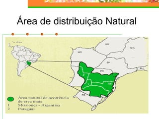 Área de distribuição Natural 
 
 