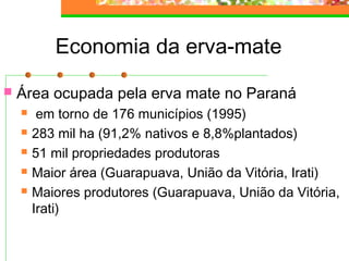 Economia da erva-mate 
 Área ocupada pela erva mate no Paraná 
 em torno de 176 municípios (1995) 
 283 mil ha (91,2% nativos e 8,8%plantados) 
 51 mil propriedades produtoras 
 Maior área (Guarapuava, União da Vitória, Irati) 
 Maiores produtores (Guarapuava, União da Vitória, 
Irati) 
 