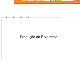 Produção da Erva mate 
 