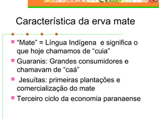 Característica da erva mate 
 “Mate” = Língua Indígena e significa o 
que hoje chamamos de “cuia” 
 Guaranis: Grandes consumidores e 
chamavam de “caá” 
 Jesuítas: primeiras plantações e 
comercialização do mate 
 Terceiro ciclo da economia paranaense 
 