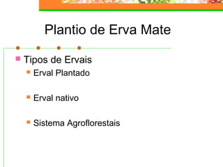 Plantio de Erva Mate 
 Tipos de Ervais 
 Erval Plantado 
 Erval nativo 
 Sistema Agroflorestais 
 