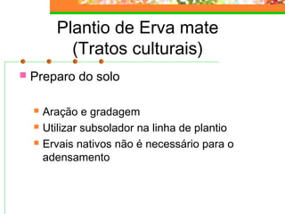 Plantio de Erva mate 
(Tratos culturais) 
 Preparo do solo 
 Aração e gradagem 
 Utilizar subsolador na linha de plantio 
 Ervais nativos não é necessário para o 
adensamento 
 