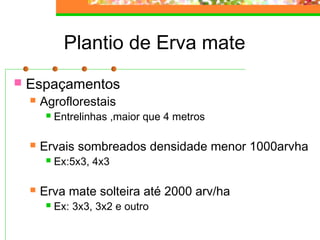 Plantio de Erva mate 
 Espaçamentos 
 Agroflorestais 
 Entrelinhas ,maior que 4 metros 
 Ervais sombreados densidade menor 1000arvha 
 Ex:5x3, 4x3 
 Erva mate solteira até 2000 arv/ha 
 Ex: 3x3, 3x2 e outro 
 