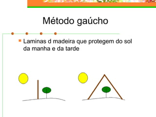 Método gaúcho 
 Laminas d madeira que protegem do sol 
da manha e da tarde 
 