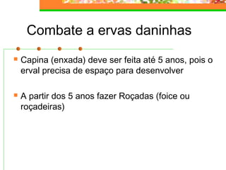 Combate a ervas daninhas 
 Capina (enxada) deve ser feita até 5 anos, pois o 
erval precisa de espaço para desenvolver 
 A partir dos 5 anos fazer Roçadas (foice ou 
roçadeiras) 
 