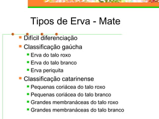 Tipos de Erva - Mate 
 Difícil diferenciação 
 Classificação gaúcha 
 Erva do talo roxo 
 Erva do talo branco 
 Erva periquita 
 Classificação catarinense 
 Pequenas coriácea do talo roxo 
 Pequenas coriácea do talo branco 
 Grandes membranáceas do talo roxo 
 Grandes membranáceas do talo branco 
 