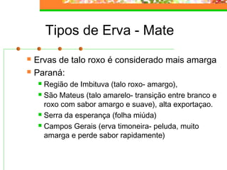 Tipos de Erva - Mate 
 Ervas de talo roxo é considerado mais amarga 
 Paraná: 
 Região de Imbituva (talo roxo- amargo), 
 São Mateus (talo amarelo- transição entre branco e 
roxo com sabor amargo e suave), alta exportaçao. 
 Serra da esperança (folha miúda) 
 Campos Gerais (erva timoneira- peluda, muito 
amarga e perde sabor rapidamente) 
 