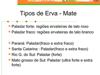 Tipos de Erva - Mate 
 Paladar forte: regiões ervateiras de talo roxo 
 Paladar fraco: regiões ervateiras de talo branco 
 Paraná: Paladar(fraco e extra fraco) 
 Santa Catarina : Paladar(fraco e extra fraco) 
 Rio G. do Sul: Paladar (forte) 
 Mato grosso de Sul: Paladar (ultra forte e extra 
forte) 
 