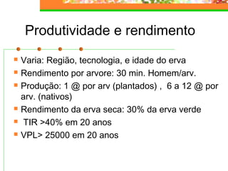 Produtividade e rendimento 
 Varia: Região, tecnologia, e idade do erva 
 Rendimento por arvore: 30 min. Homem/arv. 
 Produção: 1 @ por arv (plantados) , 6 a 12 @ por 
arv. (nativos) 
 Rendimento da erva seca: 30% da erva verde 
 TIR >40% em 20 anos 
 VPL> 25000 em 20 anos 
 