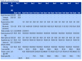 Produtividade e rendimento 
 