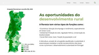 Silvicultura Objetivos
Exemplos
Práticas
Definição
As oportunidades do
desenvolvimento rural
A floresta tem vários tipos de funções como :
• Económica: Geração de emprego e rendimento, especialmente
em áreas rurais
• Ambiental: Proteção do solo, regulação hídrica, conservação da
biodiversidade
• Social: Bem-estar, lazer, fixação da população rural
A silvicultura, através de uma gestão equilibrada e sustentável, é
essencial para revitalizar o tecido socioeconómico das áreas
rurais e promover o desenvolvimento sustentável em Portugal.
 