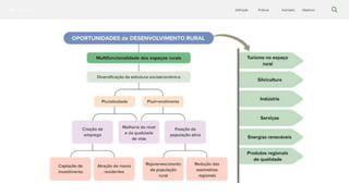 Silvicultura Objetivos
Exemplos
Práticas
Definição
 