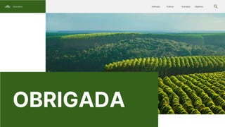 Ginyard International Co. Contact
About Us
Service
Home
OBRIGADA
Silvicultura Objetivos
Exemplos
Práticas
Definição
 