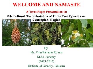 WELCOME AND NAMASTE
A Term Paper Presentation on
Silvicultural Characteristics of Three Tree Species on
Subtropical Region

By
Mr. Yam Bahadur Rumba
M.Sc. Forestry
(2013-2015)
Institute of Forestry, Pokhara

 