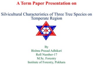 A Term Paper Presentation on
Silvicultural Characteristics of Three Tree Species on
Temperate Region

By
Bishnu Prasad Adhikari
Roll Number-17
M.Sc. Forestry
Institute of Forestry, Pokhara

 