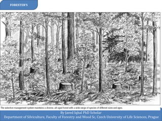 FORESTER’S 
By Javed Iqbal PhD Scholar 
Department of Silviculture, Faculty of Forestry and Wood Sc, Czech University of Life Sciences, Prague 
 