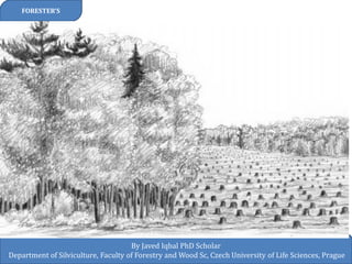 FORESTER’S 
By Javed Iqbal PhD Scholar 
Department of Silviculture, Faculty of Forestry and Wood Sc, Czech University of Life Sciences, Prague  