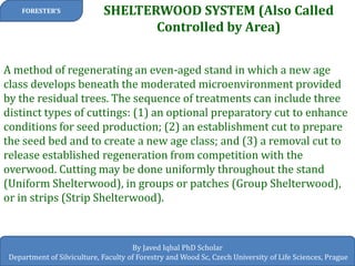 SHELTERWOOD SYSTEM (Also Called Controlled by Area) 
FORESTER’S 
By Javed Iqbal PhD Scholar 
Department of Silviculture, Faculty of Forestry and Wood Sc, Czech University of Life Sciences, Prague 
A method of regenerating an even-aged stand in which a new age class develops beneath the moderated microenvironment provided by the residual trees. The sequence of treatments can include three distinct types of cuttings: (1) an optional preparatory cut to enhance conditions for seed production; (2) an establishment cut to prepare the seed bed and to create a new age class; and (3) a removal cut to release established regeneration from competition with the overwood. Cutting may be done uniformly throughout the stand (Uniform Shelterwood), in groups or patches (Group Shelterwood), or in strips (Strip Shelterwood).  