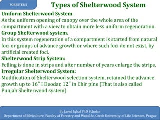 Types of Shelterwood System 
FORESTER’S 
By Javed Iqbal PhD Scholar 
Department of Silviculture, Faculty of Forestry and Wood Sc, Czech University of Life Sciences, Prague 
Uniform Shelterwood System. As the uniform opening of canopy over the whole area of the compartment with a view to obtain more less uniform regeneration. Group Shelterwood system. In this system regeneration of a compartment is started from natural foci or groups of advance growth or where such foci do not exist, by artificial created foci. Shelterwood Strip System: Felling is done in strips and after number of years enlarge the strips. Irregular Shelterwood System: Modification of Shelterwood selection system, retained the advance growth up to 16″ I Deodar, 12″ in Chir pine (That is also called Punjab Shelterwood system)  