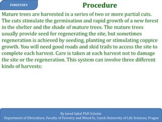 Procedure 
FORESTER’S 
By Javed Iqbal PhD Scholar 
Department of Silviculture, Faculty of Forestry and Wood Sc, Czech University of Life Sciences, Prague 
Mature trees are harvested in a series of two or more partial cuts. The cuts stimulate the germination and rapid growth of a new forest in the shelter and the shade of mature trees. The mature trees usually provide seed for regenerating the site, but sometimes regeneration is achieved by seeding, planting or stimulating coppice growth. You will need good roads and skid trails to access the site to complete each harvest. Care is taken at each harvest not to damage the site or the regeneration. This system can involve three different kinds of harvests:  