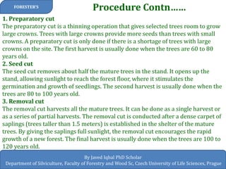 Procedure Contn…… 
FORESTER’S 
By Javed Iqbal PhD Scholar 
Department of Silviculture, Faculty of Forestry and Wood Sc, Czech University of Life Sciences, Prague 
1. Preparatory cut The preparatory cut is a thinning operation that gives selected trees room to grow large crowns. Trees with large crowns provide more seeds than trees with small crowns. A preparatory cut is only done if there is a shortage of trees with large crowns on the site. The first harvest is usually done when the trees are 60 to 80 years old. 2. Seed cut The seed cut removes about half the mature trees in the stand. It opens up the stand, allowing sunlight to reach the forest floor, where it stimulates the germination and growth of seedlings. The second harvest is usually done when the trees are 80 to 100 years old. 3. Removal cut The removal cut harvests all the mature trees. It can be done as a single harvest or as a series of partial harvests. The removal cut is conducted after a dense carpet of saplings (trees taller than 1.5 meters) is established in the shelter of the mature trees. By giving the saplings full sunlight, the removal cut encourages the rapid growth of a new forest. The final harvest is usually done when the trees are 100 to 120 years old.  