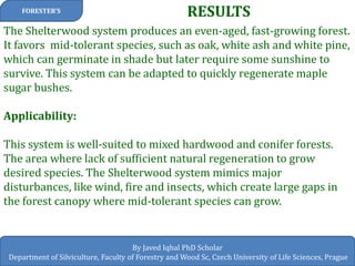 RESULTS 
FORESTER’S 
By Javed Iqbal PhD Scholar 
Department of Silviculture, Faculty of Forestry and Wood Sc, Czech University of Life Sciences, Prague 
The Shelterwood system produces an even-aged, fast-growing forest. It favors mid-tolerant species, such as oak, white ash and white pine, which can germinate in shade but later require some sunshine to survive. This system can be adapted to quickly regenerate maple sugar bushes. Applicability: This system is well-suited to mixed hardwood and conifer forests. The area where lack of sufficient natural regeneration to grow desired species. The Shelterwood system mimics major disturbances, like wind, fire and insects, which create large gaps in the forest canopy where mid-tolerant species can grow.  