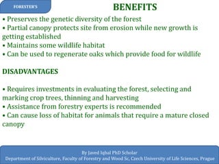 BENEFITS 
FORESTER’S 
By Javed Iqbal PhD Scholar 
Department of Silviculture, Faculty of Forestry and Wood Sc, Czech University of Life Sciences, Prague 
• Preserves the genetic diversity of the forest • Partial canopy protects site from erosion while new growth is getting established • Maintains some wildlife habitat • Can be used to regenerate oaks which provide food for wildlife DISADVANTAGES • Requires investments in evaluating the forest, selecting and marking crop trees, thinning and harvesting • Assistance from forestry experts is recommended • Can cause loss of habitat for animals that require a mature closed canopy  
