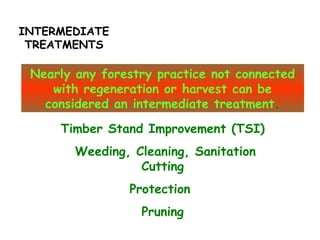 INTERMEDIATE
TREATMENTS
Nearly any forestry practice not connected
with regeneration or harvest can be
considered an intermediate treatment.
Timber Stand Improvement (TSI)
Weeding, Cleaning, Sanitation
Cutting
Protection
Pruning
 