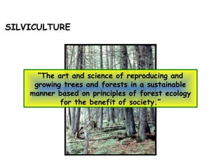 SILVICULTURE
“The art and science of reproducing and
growing trees and forests in a sustainable
manner based on principles of forest ecology
for the benefit of society.”
 