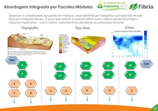 Abordagem Integrada por Pacotes/Módulos
Organizar a complexidade agrupando em módulos, especialmente por topografia e prin...