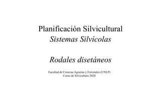 Planificación Silvicultural
Sistemas Silvícolas
Rodales disetáneos
Facultad de Ciencias Agrarias y Forestales (UNLP)
Curso de Silvicultura 2020
 
