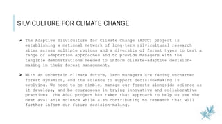 10
 The Adaptive Silviculture for Climate Change (ASCC) project is
establishing a national network of long-term silvicultural research
sites across multiple regions and a diversity of forest types to test a
range of adaptation approaches and to provide managers with the
tangible demonstrations needed to inform climate-adaptive decision-
making in their forest management.
 With an uncertain climate future, land managers are facing uncharted
forest dynamics, and the science to support decision-making is
evolving. We need to be nimble, manage our forests alongside science as
it develops, and be courageous in trying innovative and collaborative
practices. The ASCC project has taken that approach to help us use the
best available science while also contributing to research that will
further inform our future decision-making.
SILVICULTURE FOR CLIMATE CHANGE
 