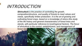 Silviculture is the practice of controlling the growth,
composition/structure, and quality of forests to meet values and
needs, specifically timber production. It is the art of growing and
cultivating forest crops, based on a knowledge of silvics (the study
of the life history and general characteristics of forest trees and
stands, with particular reference to local/regional factors). The focus
of silviculture is the control, establishment, and management of
forest stands.
 