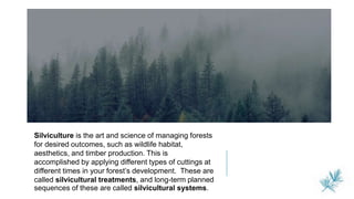 Silviculture is the art and science of managing forests
for desired outcomes, such as wildlife habitat,
aesthetics, and timber production. This is
accomplished by applying different types of cuttings at
different times in your forest’s development. These are
called silvicultural treatments, and long-term planned
sequences of these are called silvicultural systems.
 