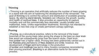 6
Thinning
Thinning is an operation that artificially reduces the number of trees growing
in a stand with the aim of hastening the development of the remainder. The
goal of thinning is to control the amount and distribution of available growing
space. By altering stand density, foresters can influence the growth, quality,
and health of residual trees. It also provides an opportunity to capture
mortality and cull the commercially less desirable, usually smaller and
malformed, trees. Unlike regeneration treatments, thinning's not intended to
establish a new tree crop or create permanent canopy openings.
Pruning
Pruning, as a silvicultural practice, refers to the removal of the lower
branches of the young trees (also giving the shape to the tree) so clear knot-
free wood can subsequently grow over the branch stubs. Clear knot-
free lumber has a higher value. Pruning has been extensively carried out in
the Radiata pine plantations of New Zealand and Chile; however, the
development of finger joint technology in the production
of lumber and moldings has led to many forestry companies reconsidering
their pruning practices. Brashing is an alternative name for the same
process.
 