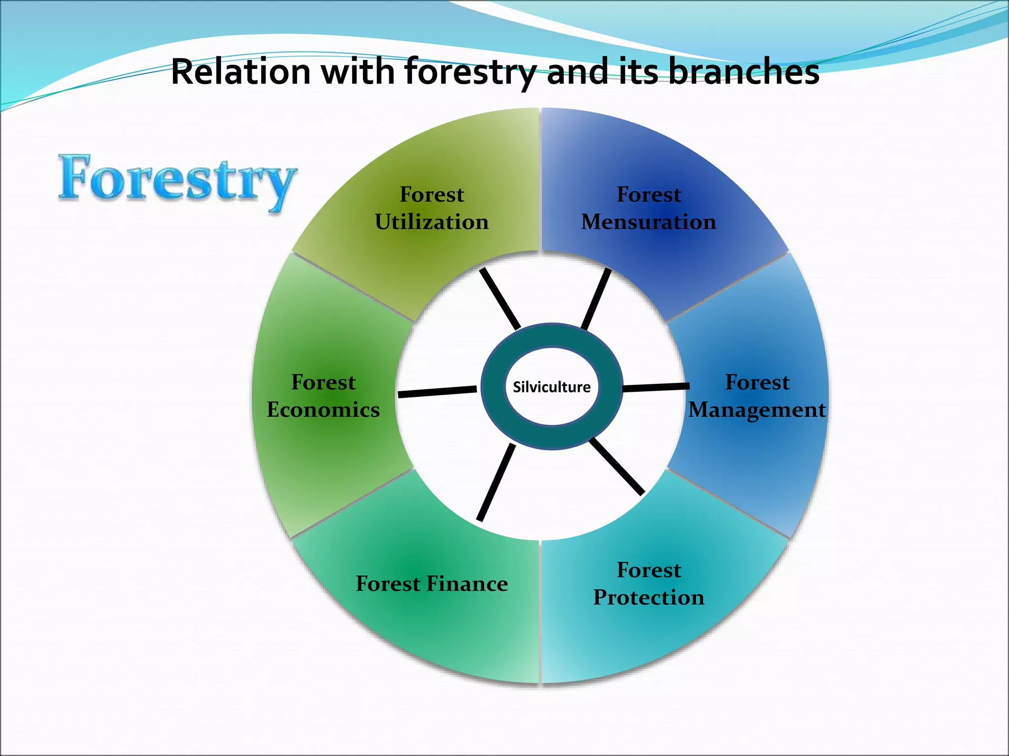 Relation with forestry and its branches
Forest
Mensuration
Forest
Management
Forest
Protection
Forest Finance
Forest
Economics
Forest
Utilization
Silviculture
 