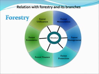 Relation with forestry and its branches
Forest
Mensuration
Forest
Management
Forest
Protection
Forest Finance
Forest
Economics
Forest
Utilization
Silviculture
 