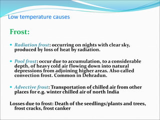 Low temperature causes
Frost:
 Radiation frost: occurring on nights with clear sky,
produced by loss of heat by radiation.
 Pool frost: occur due to accumulation, to a considerable
depth, of heavy cold air flowing down into natural
depressions from adjoining higher areas. Also called
convection frost. Common in Dehradun.
 Advective frost: Transportation of chilled air from other
places for e.g. winter chilled air of north India
Losses due to frost: Death of the seedlings/plants and trees,
frost cracks, frost canker
 