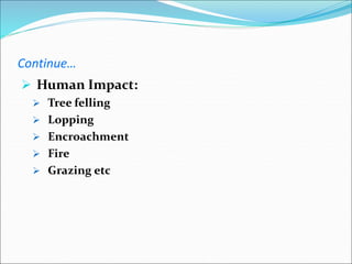 Continue…
 Human Impact:
 Tree felling
 Lopping
 Encroachment
 Fire
 Grazing etc
 