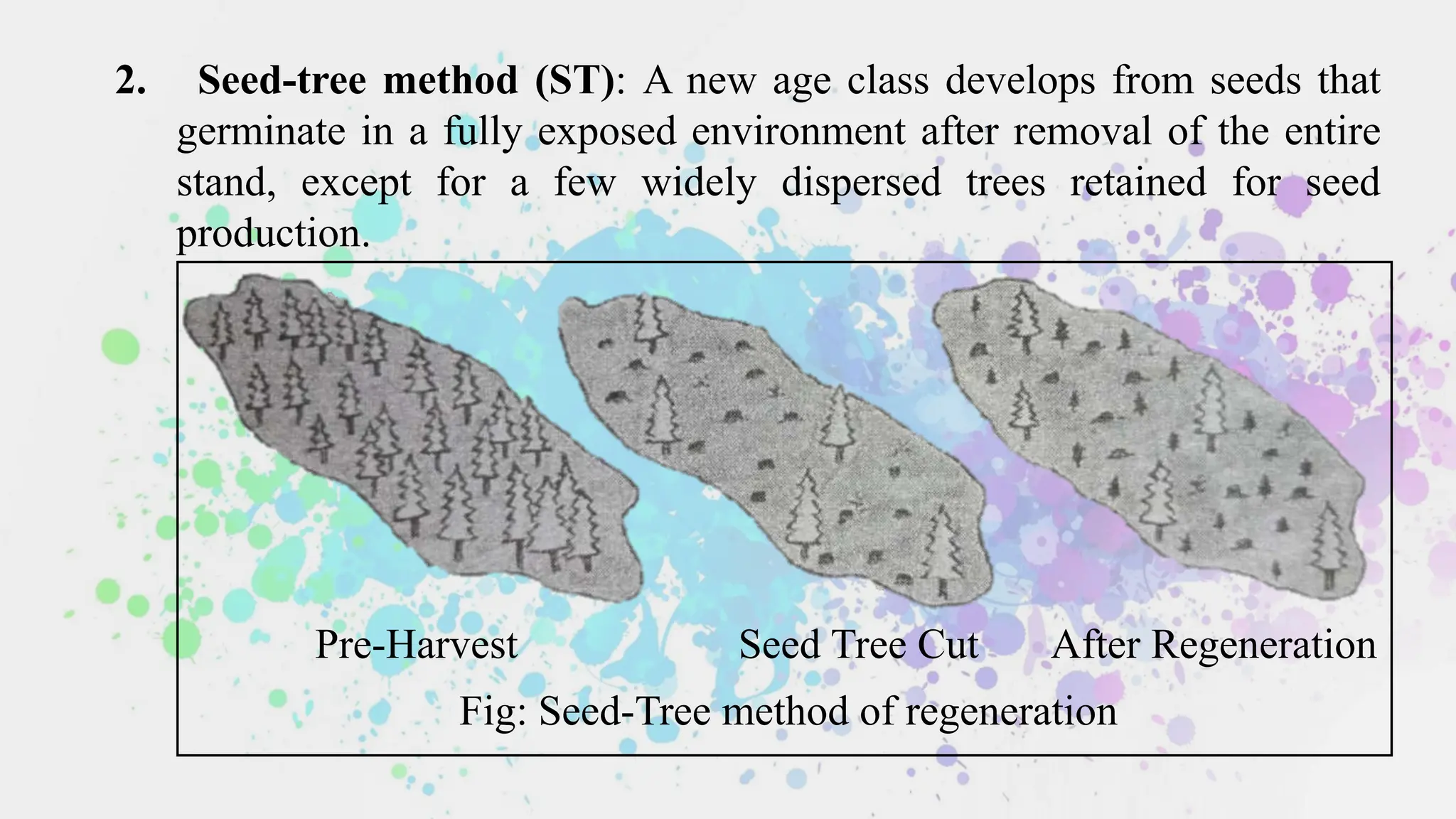 Sil Tree Pdf Silviculture and its verse applications | PPTX