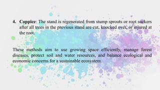 Coppice Method Roots Silviculture and its verse applications | PPTX