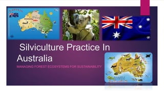 Silviculture Practice In
Australia
MANAGING FOREST ECOSYSTEMS FOR SUSTAINABILITY
 