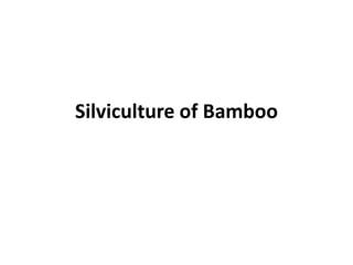 Silviculture of Bamboo
 