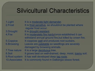 1.Light It is a moderate light demander.
2.Frost It is frost sensitive, so shouldnot be planted where
regular frost occur.
3.Drought It is drought resistant.
4.Fire It is moderately fire hardy(once established it can
withstand annual ground fire,but killed by crown fire.
5.Coppice It coppices well and produces root suckers.
6.Browsing Leaves are palatable so seedlings are severely
damaged by browsing animals.
7.Tree nature It is a large deciduous tree.
8.Soil It grows best on well-drained, deep, moist, loamy soil.
9.Root system It has well developed deep tap roots.
10.Associates It is commonly found in Dalbergia sissoo forest.
 