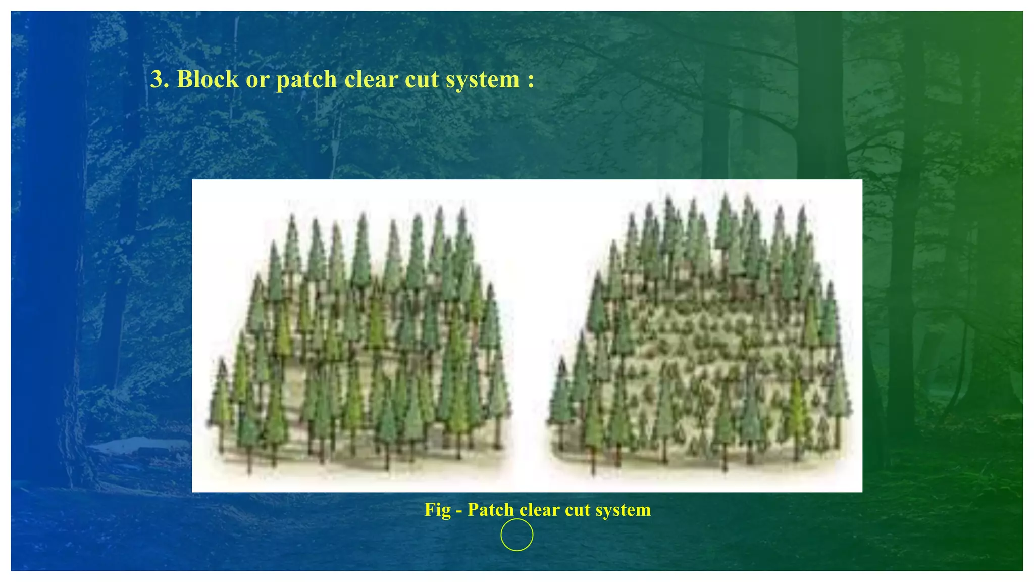 3. Block or patch clear cut system :
Fig - Patch clear cut system
 